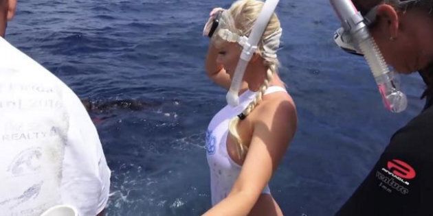 Molly Cavalli was attacked by a shark.