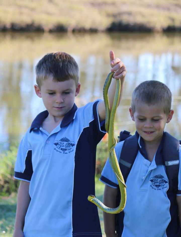 When Edward and Finn saw a green tree snake on the way to art class, they stopped to admire it.