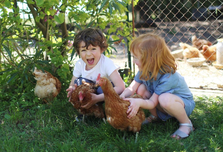 Kids love the company of chickens, and it helps teach them where food really comes from.