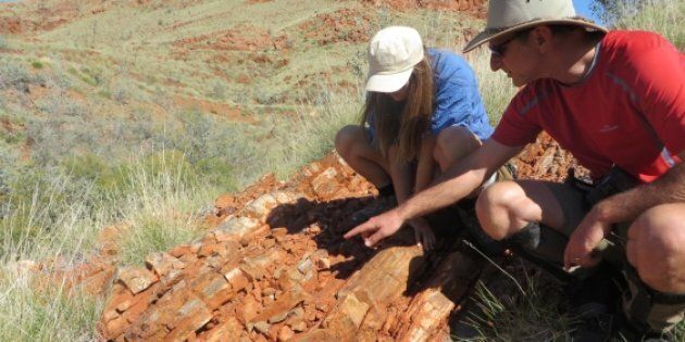 Tara Djokic and Professor Martin Van Kranendonk found the fossils in the Dresser Formation in the Pilbara in Western Australia.
