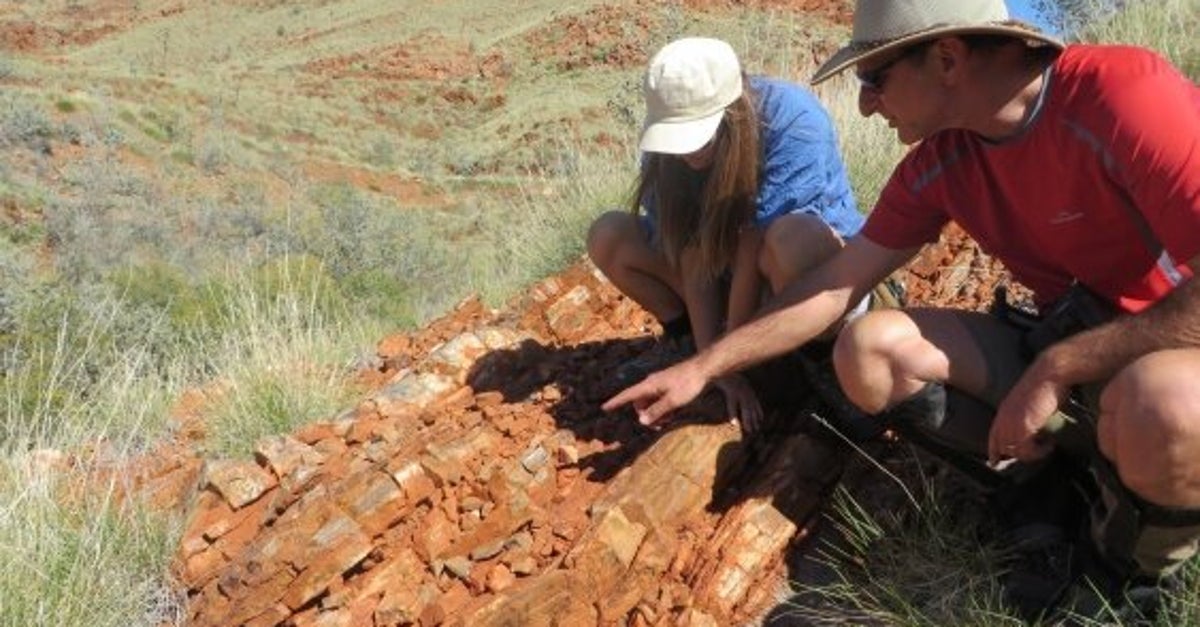 Oldest Evidence Of Life On Land Found In Australian Outback | HuffPost ...