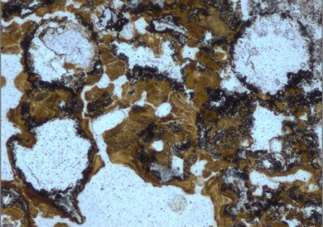 Spherical bubbles preserved in the rocks suggest microbes lived there.