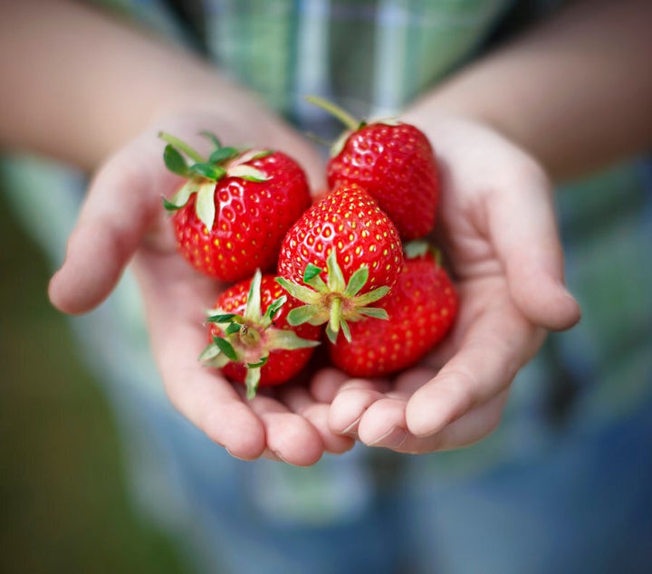 Berries are low in sugar and high in delicious.