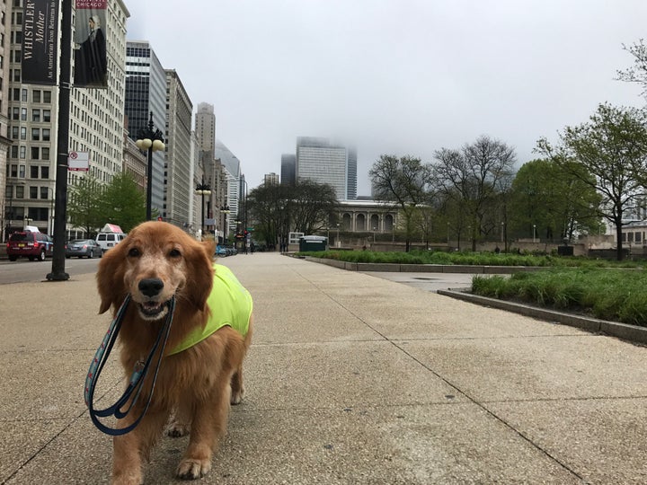 He's hitting the pavement.