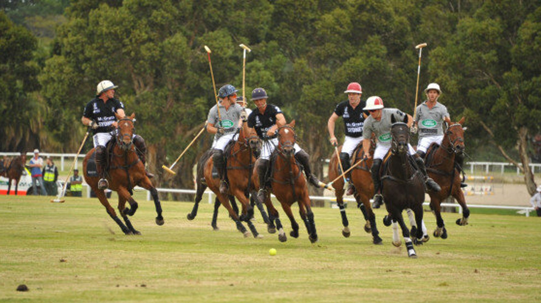 Fun Facts About Horse Polo | HuffPost News