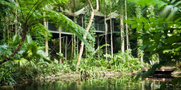 Rainforest villas at the Daintree Eco Lodge and Spa. Daintree, Queensland, Australia