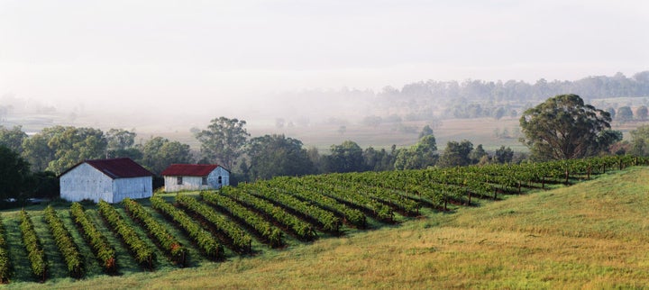 The Hunter Valley in NSW is home to Mount Pleasant, which won winery of the year.