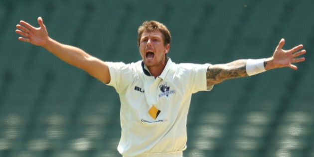 MELBOURNE, AUSTRALIA - OCTOBER 29: James Pattinson of Victoria appeals unsuccessfully during day two of the Sheffield Shield match between Victoria and Queensland at Melbourne Cricket Ground on October 29, 2015 in Melbourne, Australia. (Photo by Scott Barbour/Getty Images)
