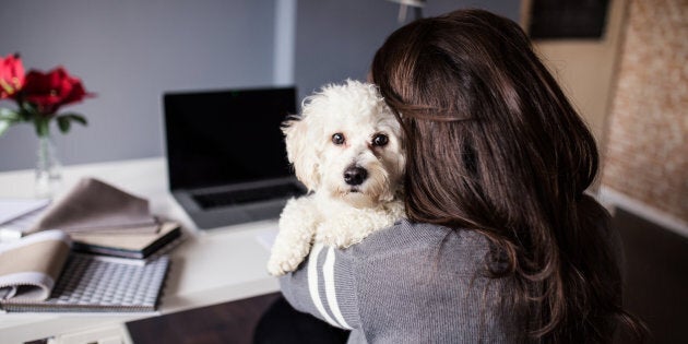 Share pics of your pet at work using the hashtag #petsatwork.