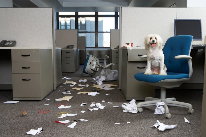 What do you mean this isn't what you meant by 'paper shredder'?