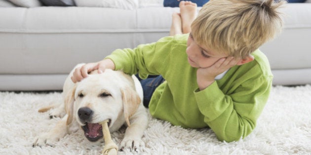 Cute little boy with his puppy at home in the living room