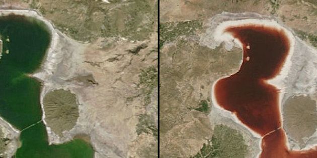 Bloody Transformation: The waters of Lake Urmia changed from green on April 23 to red on July 18, as seen by a NASA satellite.