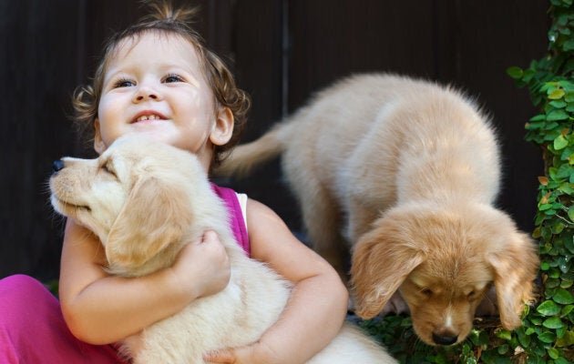 They might be besties, but kids and animals need to be taught boundaries, too.