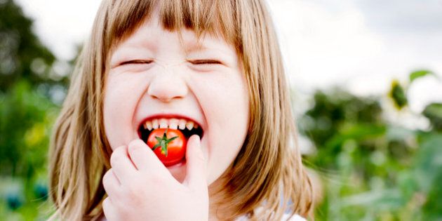 Young Girl(5-6) biting into cherry tomato, smiling, garden in background,Food and Drink, Food, Freshness, Nature, Vegetable, cherry tomato, tomato