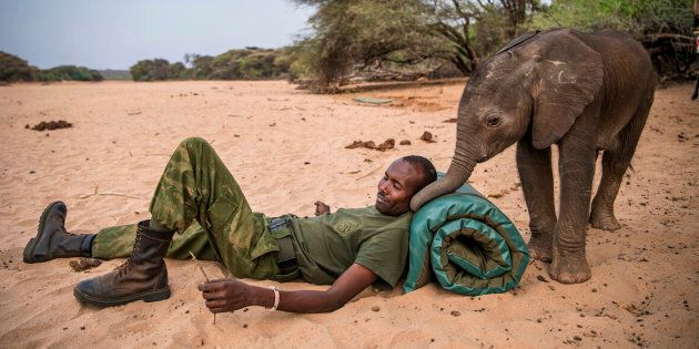 Locals have been working to save endangered baby elephants in northern Kenya.
