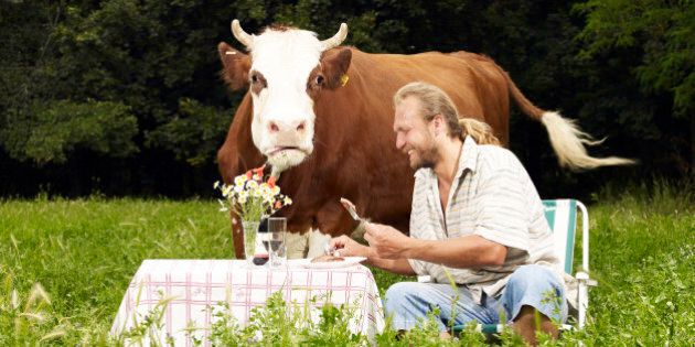 Man eating steak in field with cow