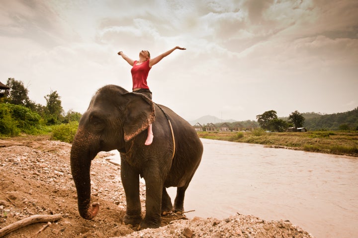 The elephant and the rider is a metaphor for how the brain's decision-making process works.