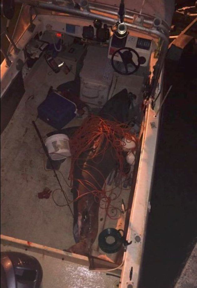 Terry Selwood jumped onto the gunnel of the boat to escape the trashing animal.