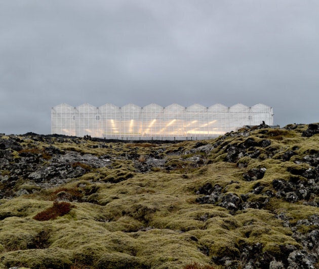 The greenhouse in Iceland is ecologically-engineered. It creates no carbon emissions and uses natural geothermal energy and underground glacial water.