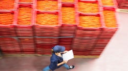Modern Slavery In Australia Is Hiding In Plain