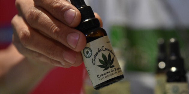 A man shows a cannabis-made product for therapeutic use at a fair of products and derivatives of marijuana for medicinal use in Bogota, Colombia, on December 22, 2015. On Tuesday, Colombia legalized medical marijuana through a decree signed by President Juan Manuel Santos, which regulates the cultivation, processing, importation and exportation of cannabis and its derivatives for therapeutic purposes. Colombia thus joins to Mexico, 23 states of US and Uruguay, which have allowed the use of cannabis for medicinal purposes. Chile, meanwhile, is studying a decriminalization in a draft legislation in Congress. AFP PHOTO / GUILLERMO LEGARIA / AFP / GUILLERMO LEGARIA (Photo credit should read GUILLERMO LEGARIA/AFP/Getty Images)