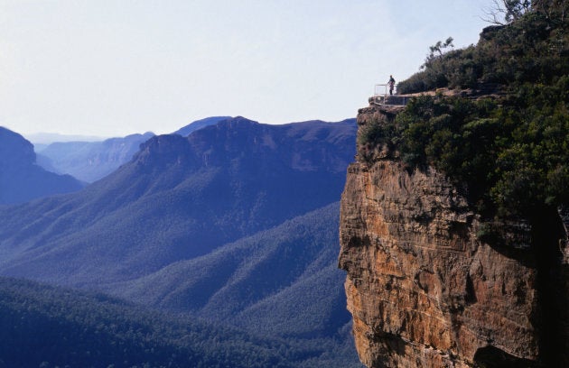 Kakadu, eat your heart out.