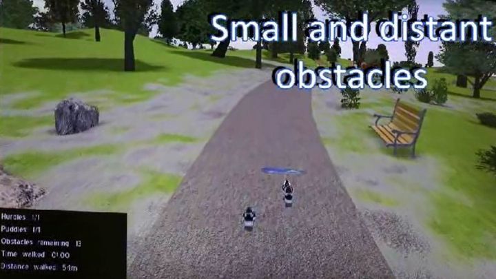 A small obstacle approaches and the participant has to walk over it.