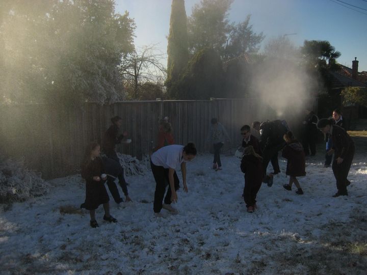 They were all having a ball. A snow ball.
