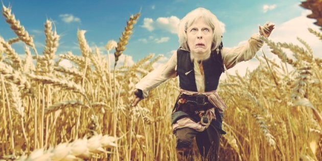 Image result for theresa may fields of wheat