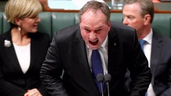 Caaaaarpe Diem: 20 Reasons Why We Must Seize The Day And Fix Australia's River