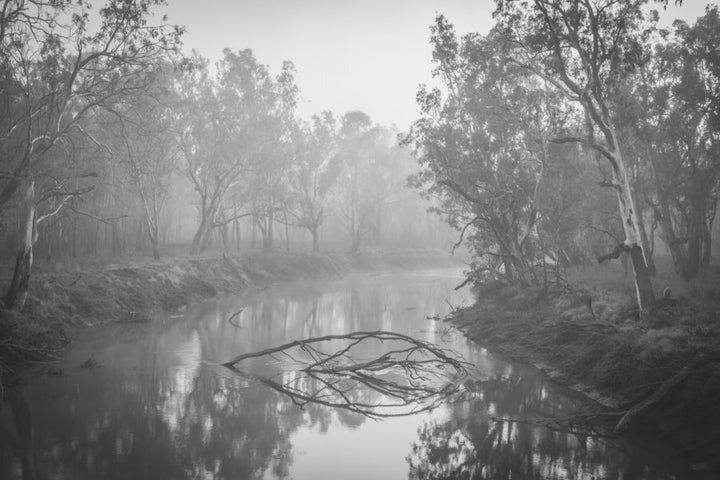 Clear water in an area not affected by carp, Macquarie Marshes, NSW.