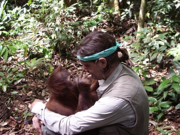 Humans and orangutans can form very special bonds.