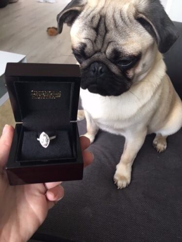 The ring is beautiful. I mean, Brad probably picked it as he has great taste. But it just reminds me of my failure to grow a penis