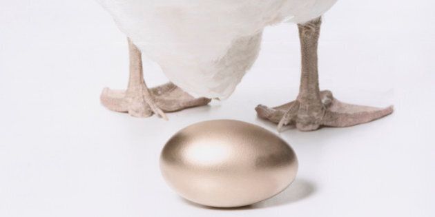 Goose and Golden Egg