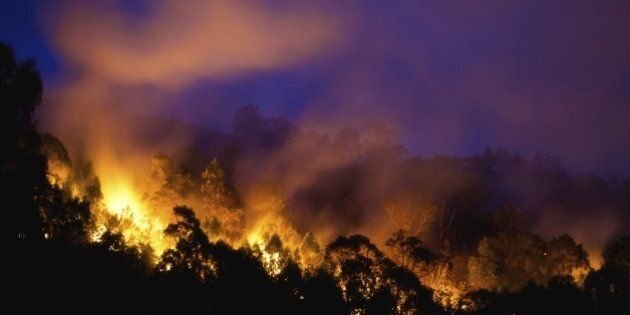 Bushfire near Newcastle, NSW.