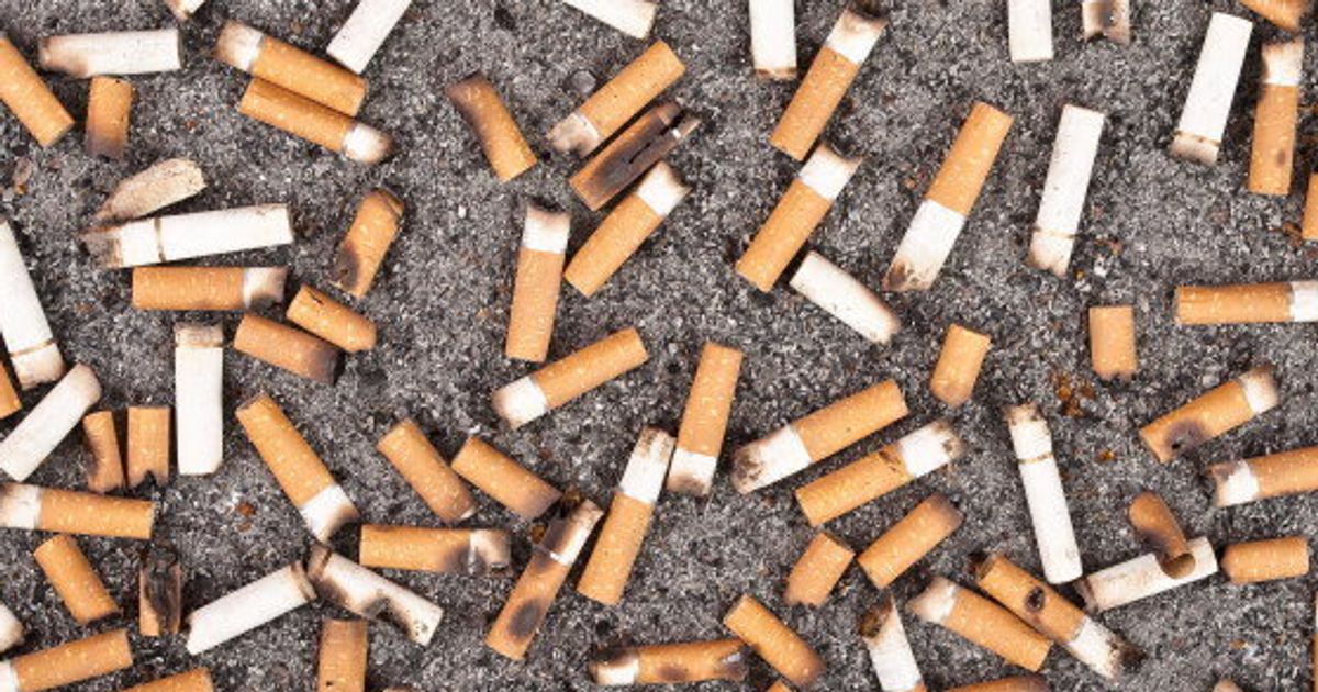 illegal-cigarette-seizures-keep-border-force-busy-huffpost-news