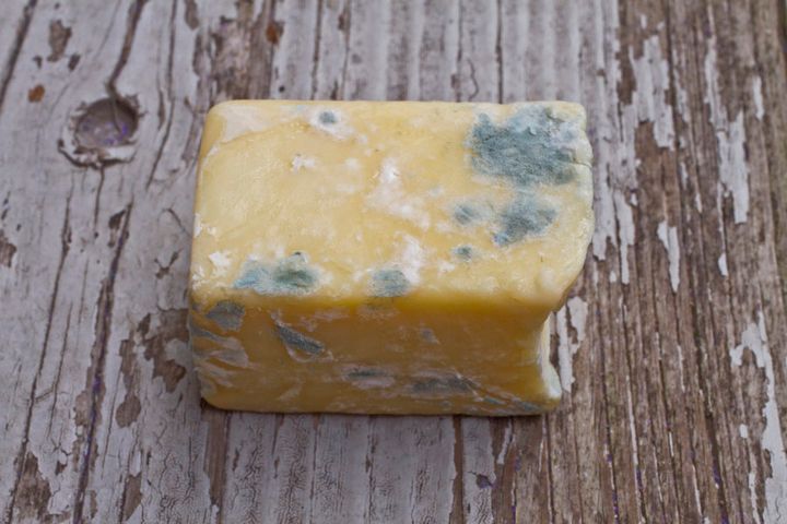 This is not the 'good type' of mouldy cheese.