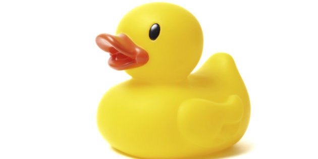 Yellow rubber duck isolated on white background