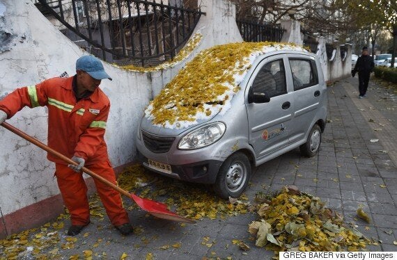 <em>Leaf </em>it out... it's not really autumn yet.