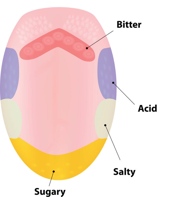 Yep, this diagram is wrong.