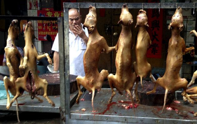 During the Yulin festival dead dogs can be seen hanging from hooks along the city's streets.