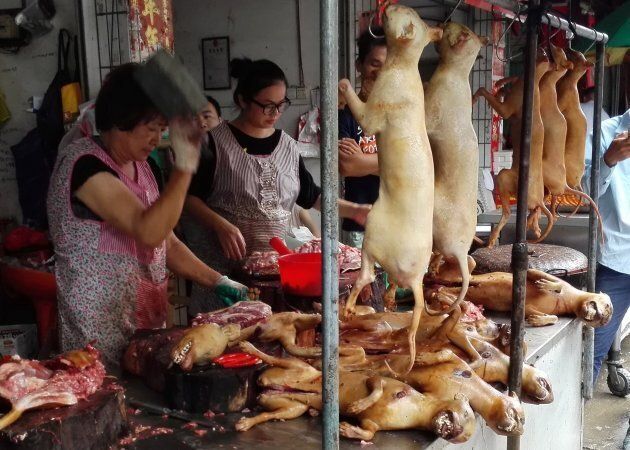 The Yulin dog meat festival started in 2010 as a way to boost the sale of dog meat.