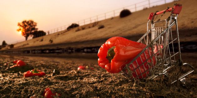 Red bell pepper in shopping cart on dirt