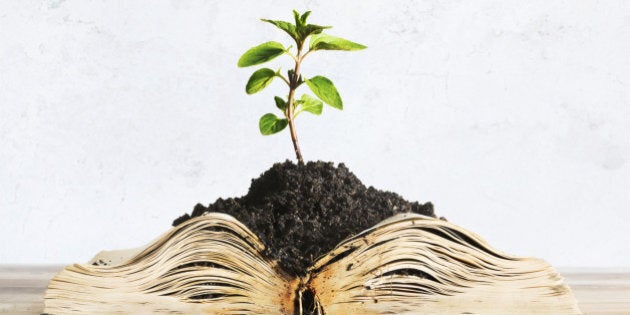 Plant growing out of open book