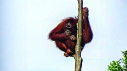 A Life-Changing Journey To Help Save The