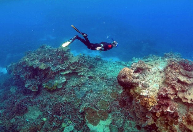 Two thirds of people are prepared to pay to protect Australia's greatest natural wonder.