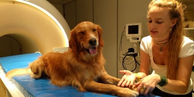 Researcher Anna Gabor and Barack the dog.