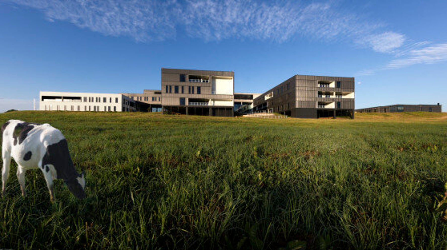 The Best Hospital Room Views In Australia (And Their Healing Abilities