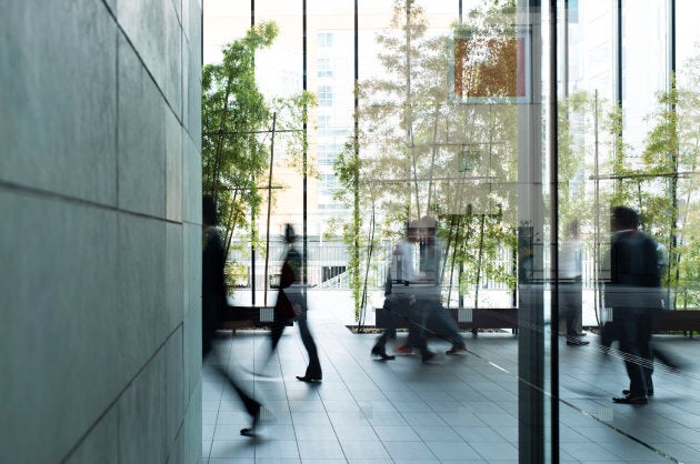 Evidence suggests office workers' productivity is improved even when the plants that have no formal work-related function.