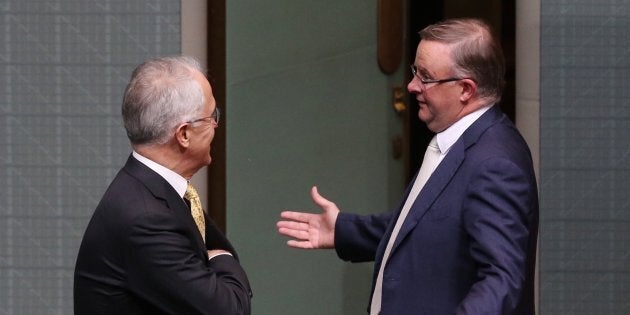 Labor's Anthony Albanese stares down Prime Minister Malcolm Turnbull on Thursday night.